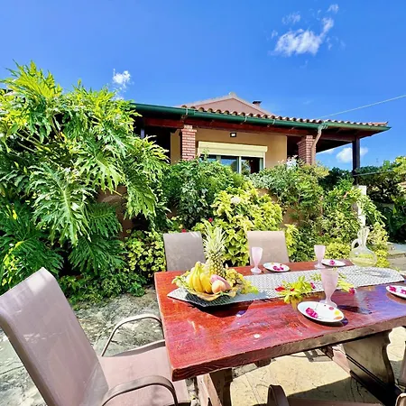 Night Flower With Private Pool By Dadovillas Vila