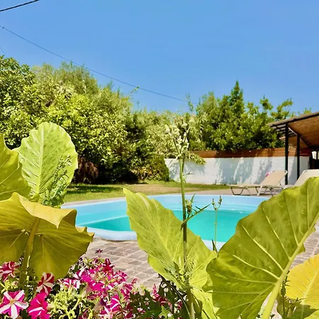 Vila Night Flower With Private Pool By Dadovillas